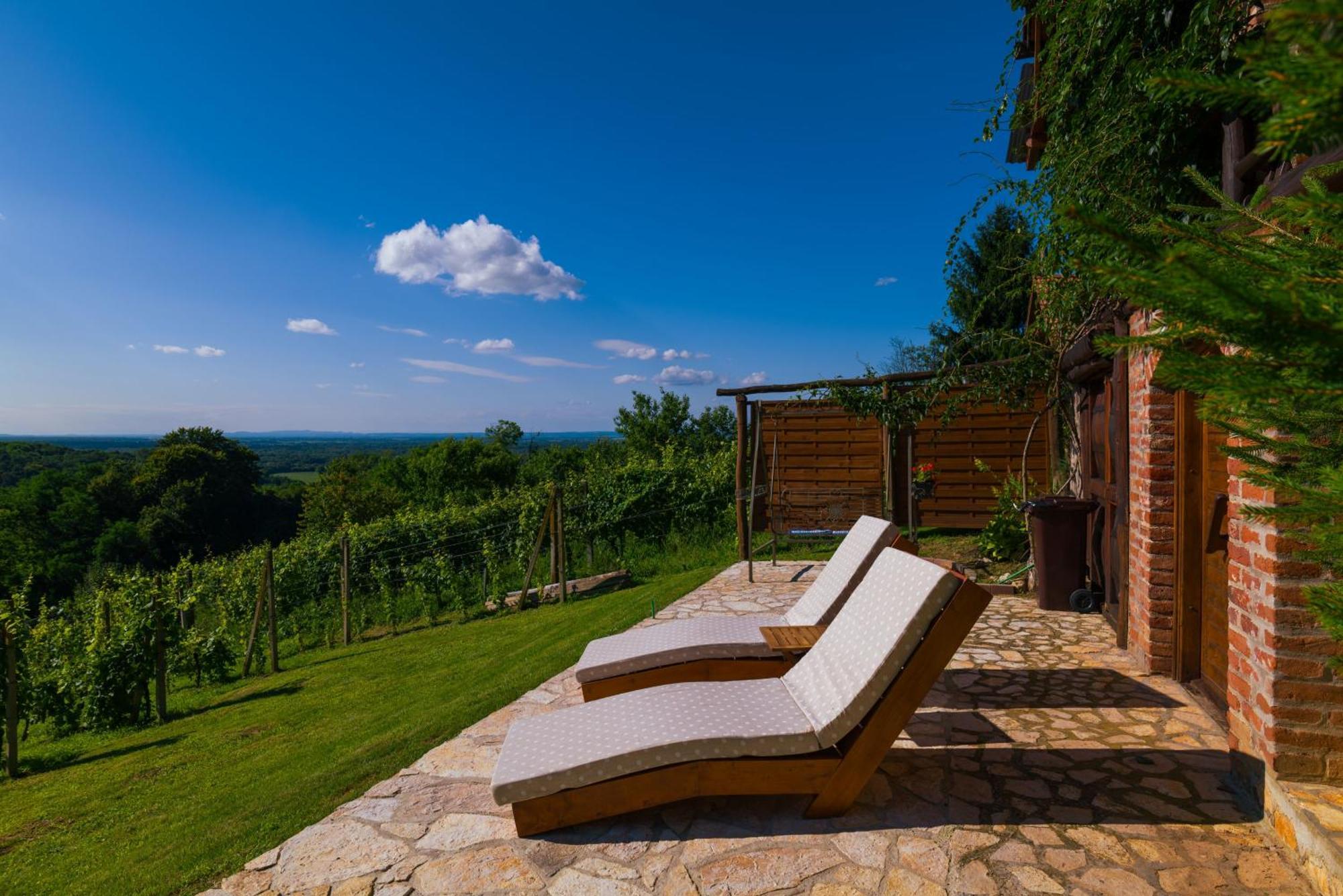 Holiday Home Wine & Relax Sveti Martin Na Muri Gornji Koncovcak Exteriör bild
