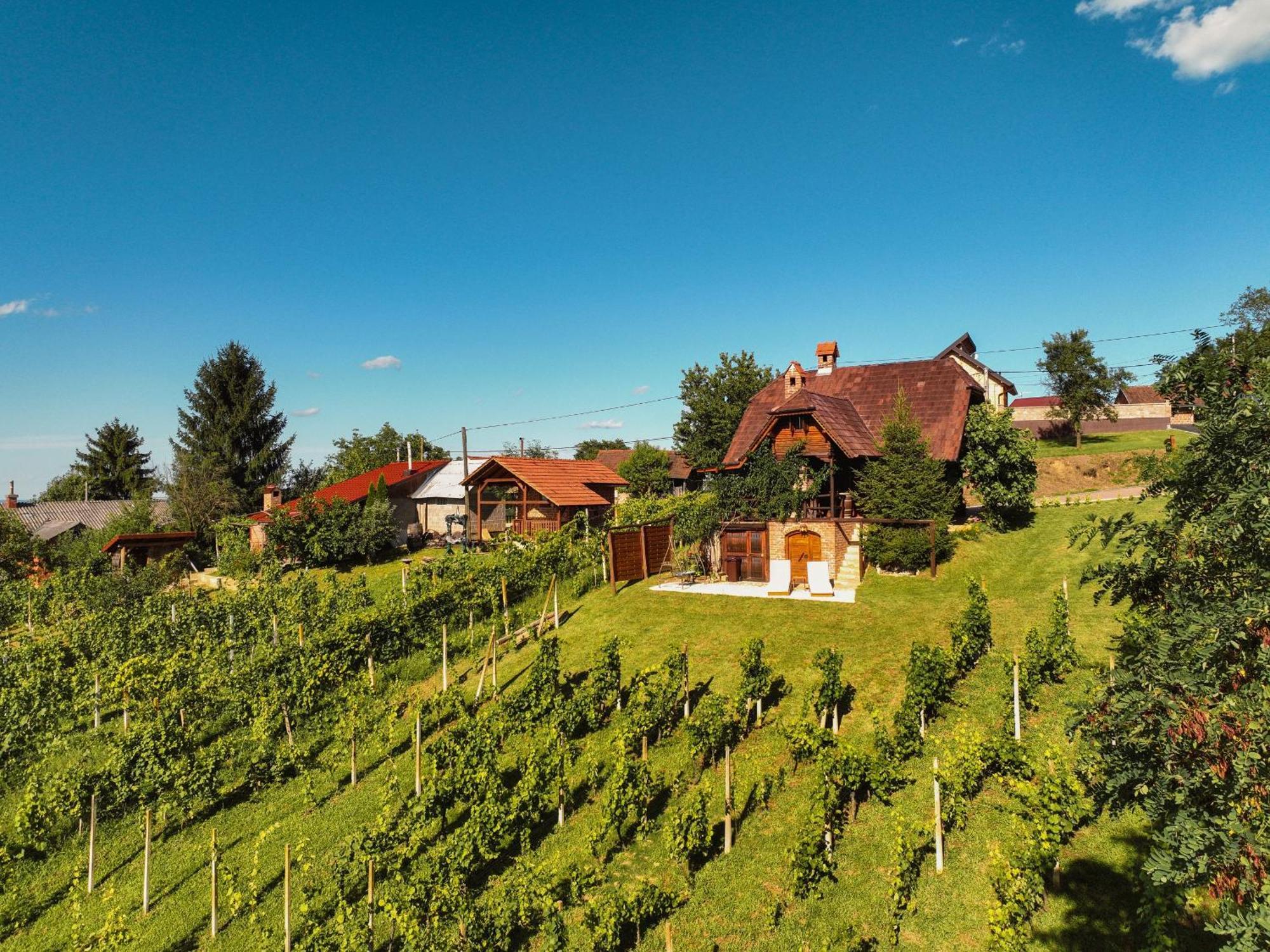 Holiday Home Wine & Relax Sveti Martin Na Muri Gornji Koncovcak Exteriör bild