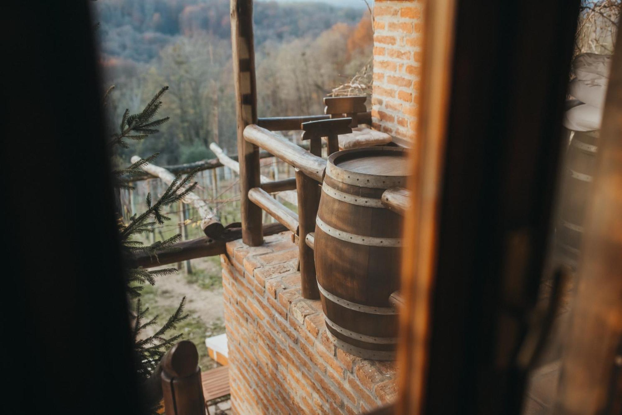 Holiday Home Wine & Relax Sveti Martin Na Muri Gornji Koncovcak Exteriör bild